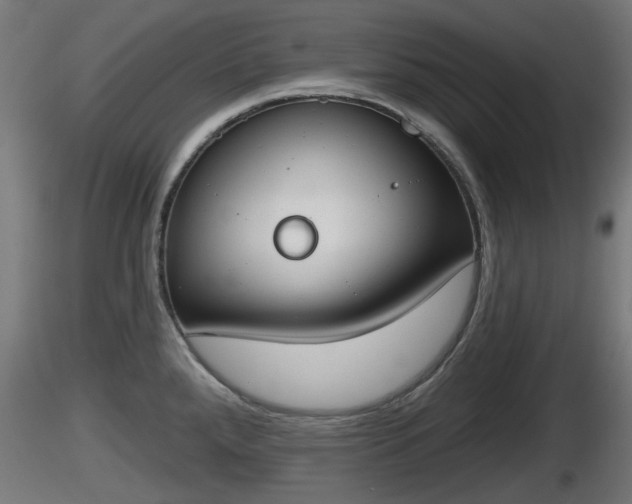 X0000116831288200912241219