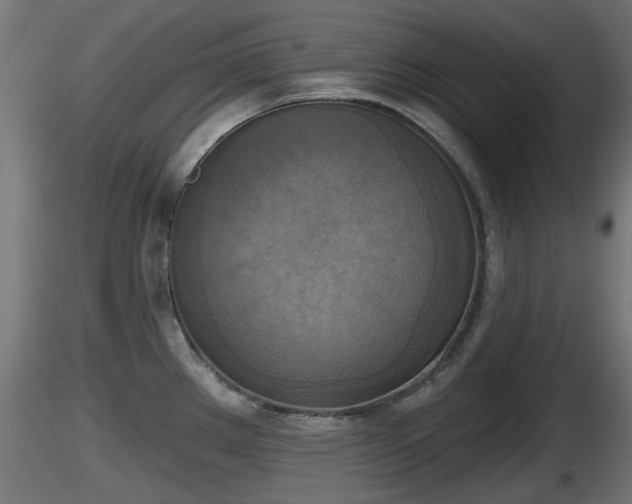 X0000116831289200912241219