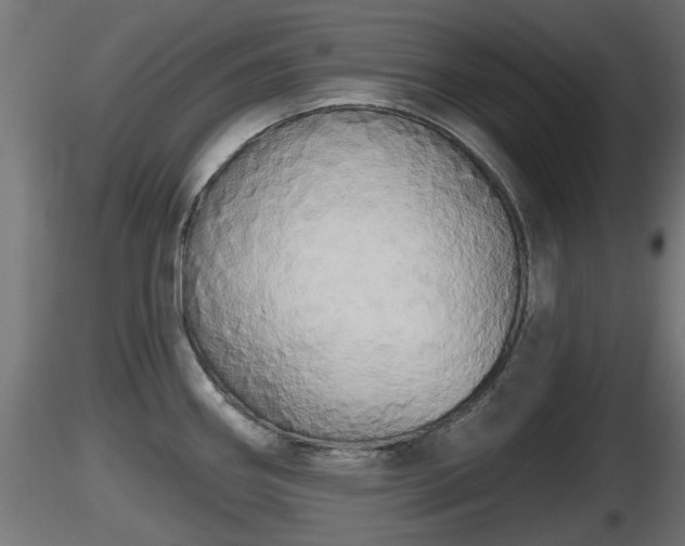 X0000116831290200912241219