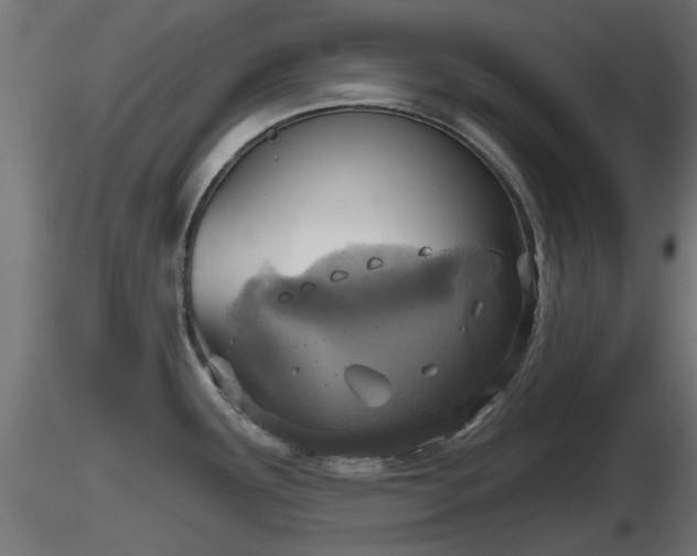 X0000116831291200912241219