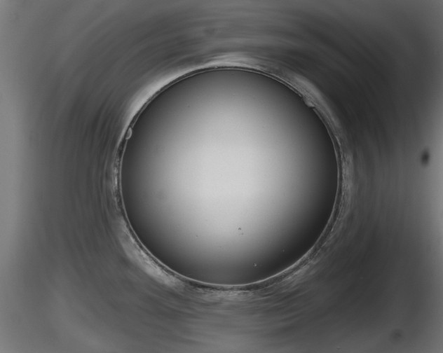 X0000116831292200912241219