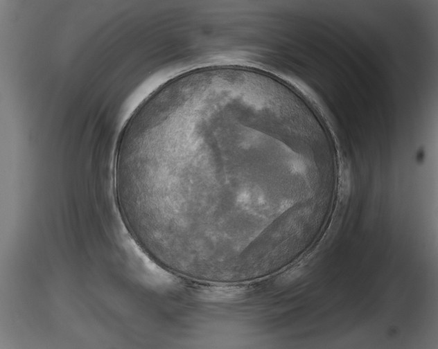 X0000116831294200912241219