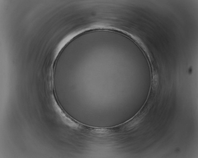 X0000116831295200912241219