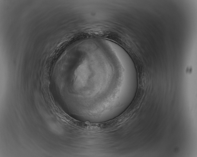 X0000116831297200912241218