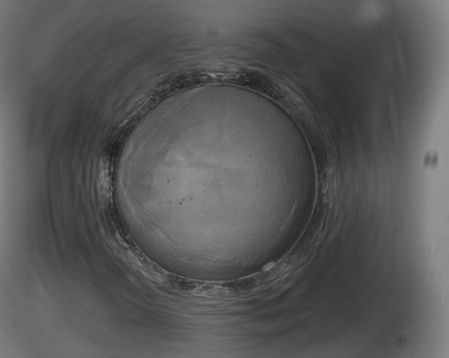 X0000116831298200912241218