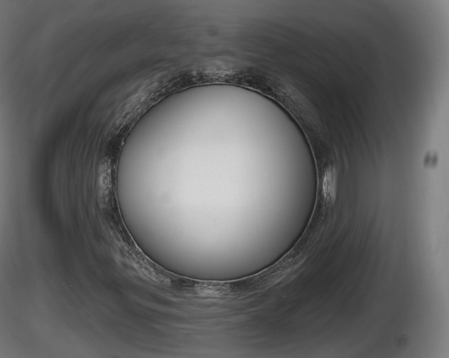 X0000116831299200912241218