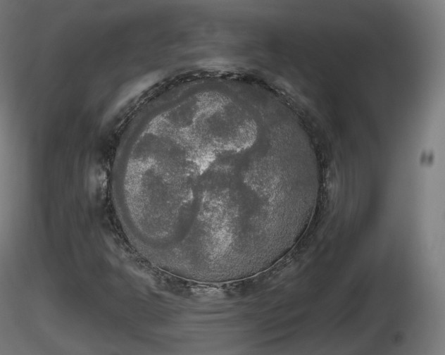 X0000116831302200912241218