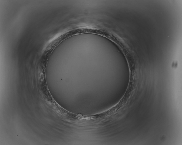 X0000116831303200912241218