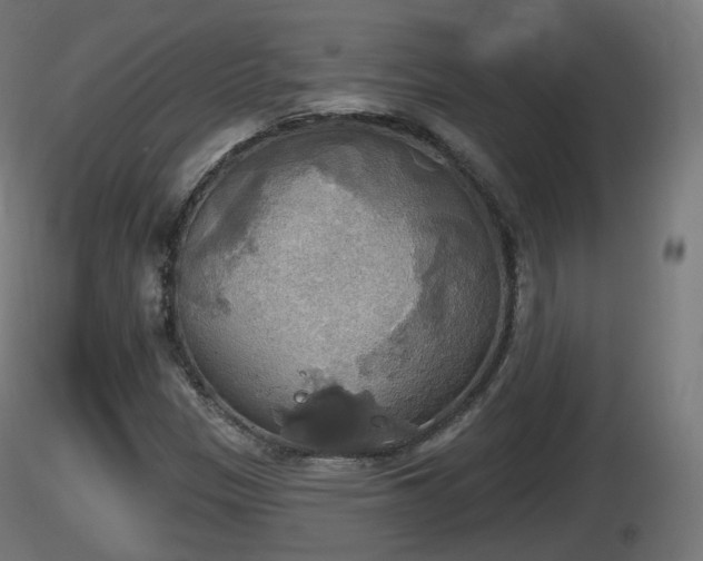 X0000116831305200912241218