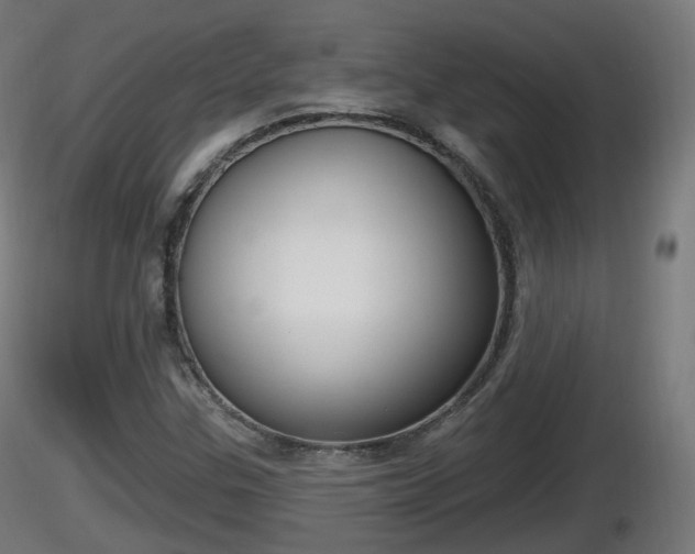 X0000116831307200912241218