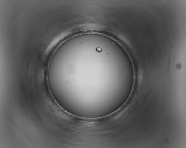 X0000116831309200912241218