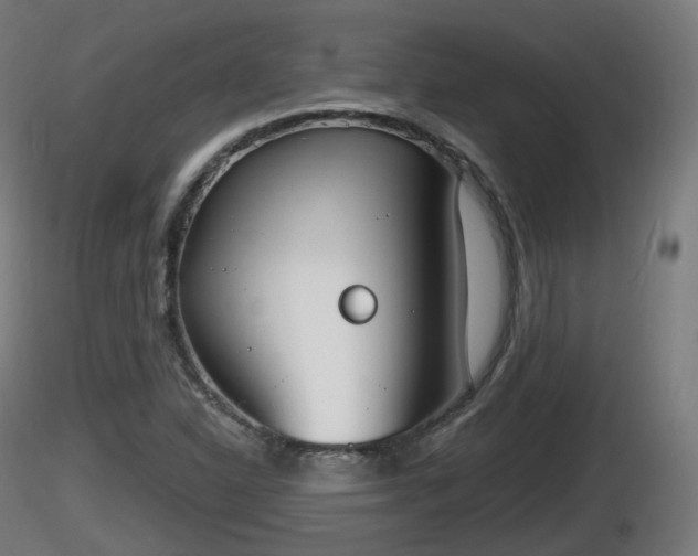 X0000116831310200912241218