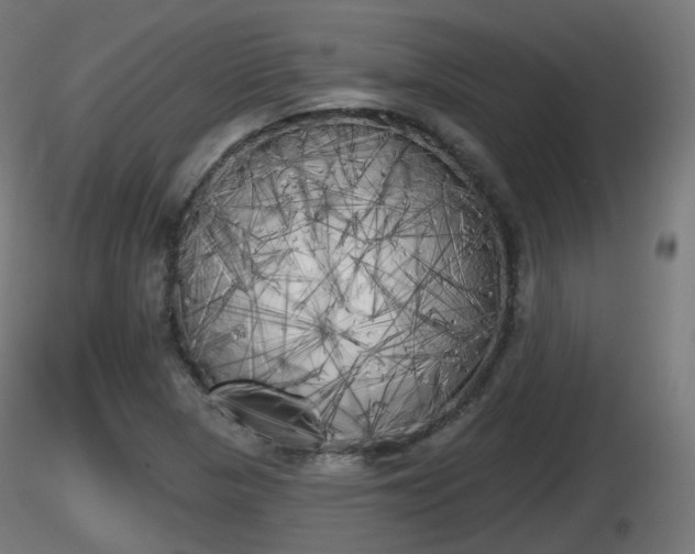 X0000116831313200912241218
