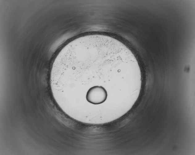X0000116831314200912241218