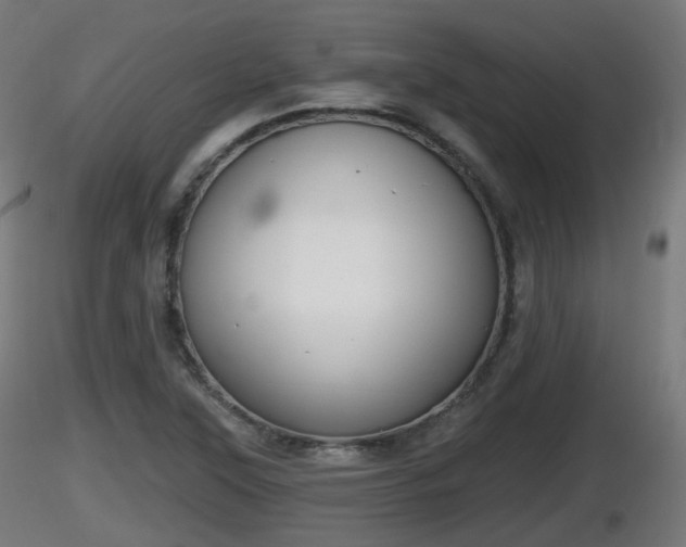 X0000116831315200912241218