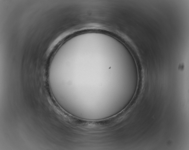 X0000116831318200912241218