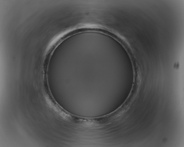 X0000116831319200912241218