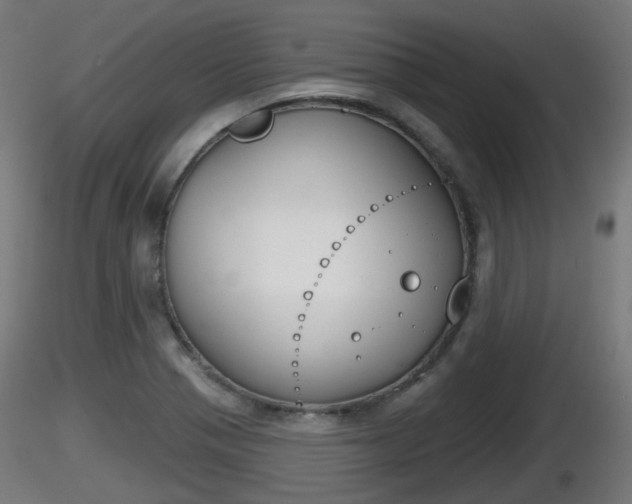 X0000116831321200912241218