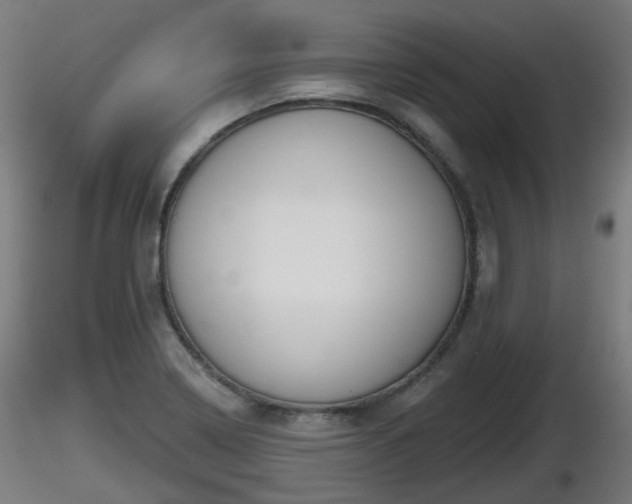 X0000116831322200912241218
