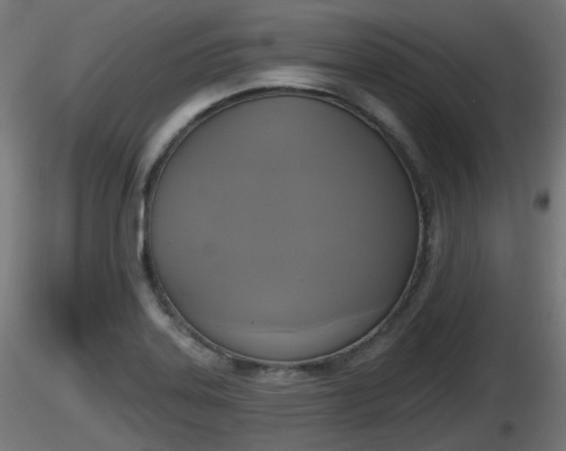X0000116831323200912241218
