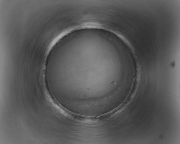 X0000116831325200912241218
