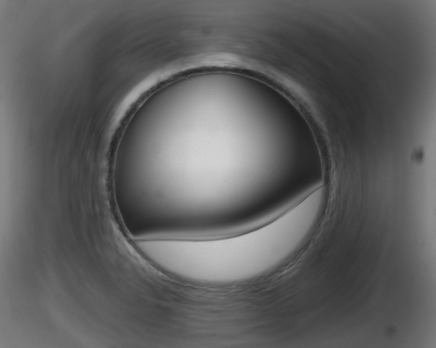 X0000116831326200912241218