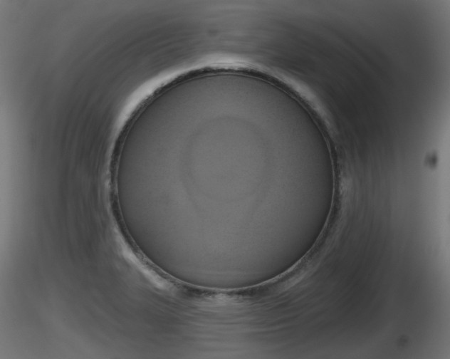 X0000116831327200912241218