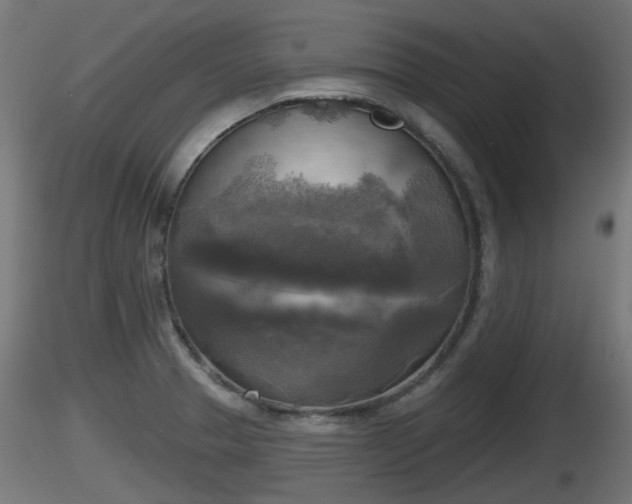 X0000116831329200912241218