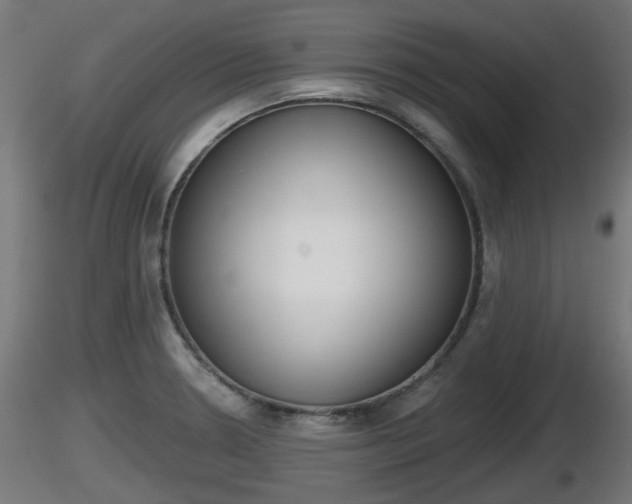 X0000116831330200912241218