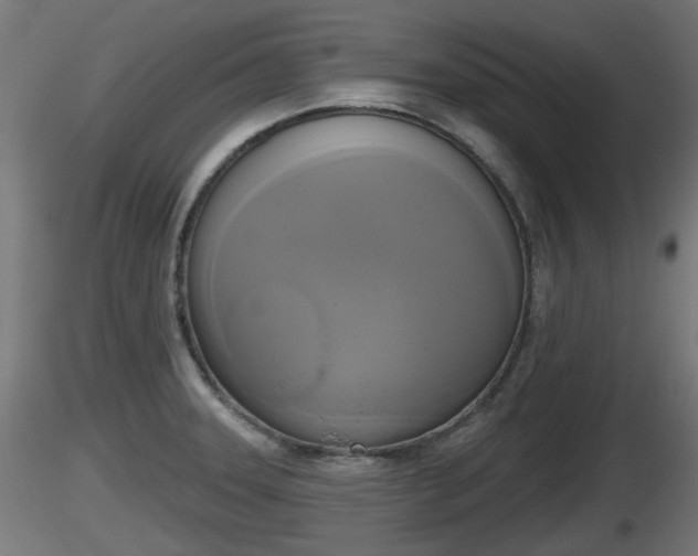 X0000116831331200912241218