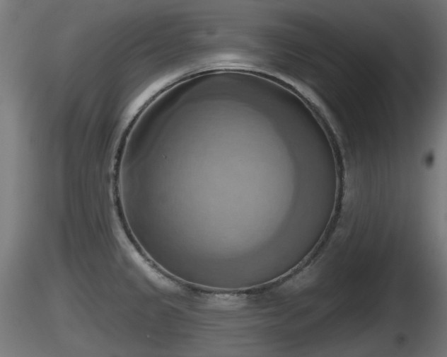X0000116831333200912241218