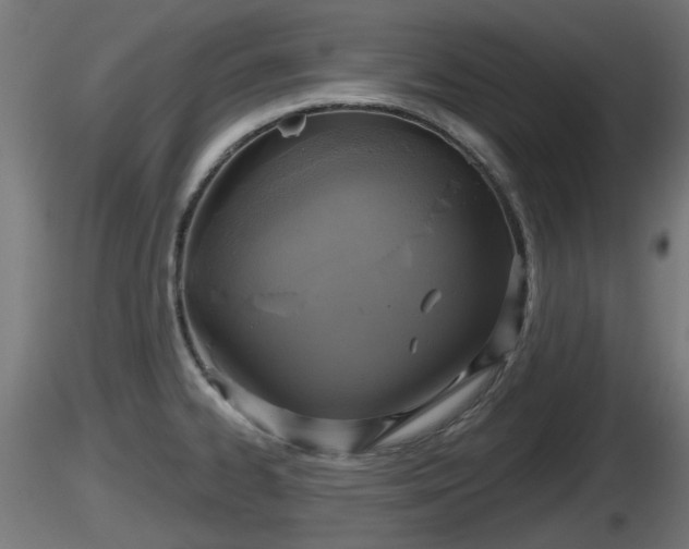 X0000116831334200912241218