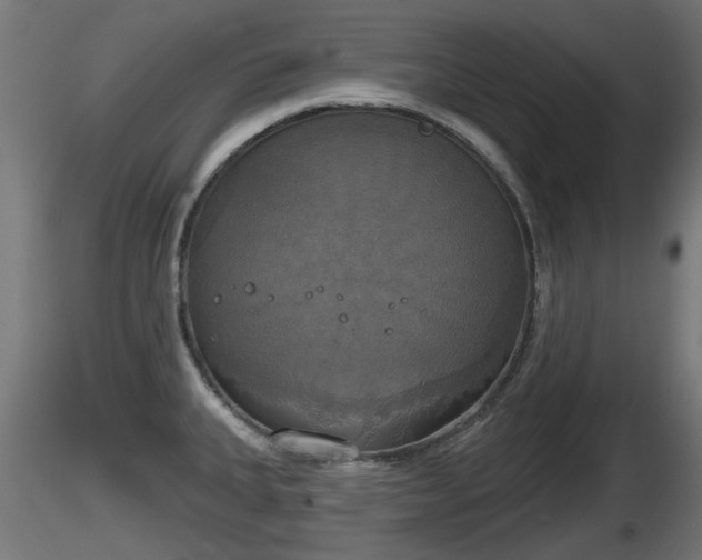 X0000116831335200912241218