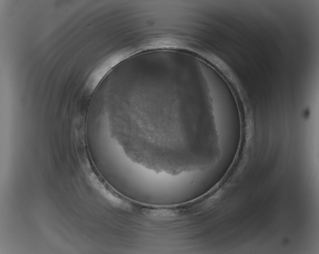 X0000116831337200912241219