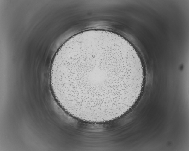 X0000116831338200912241219