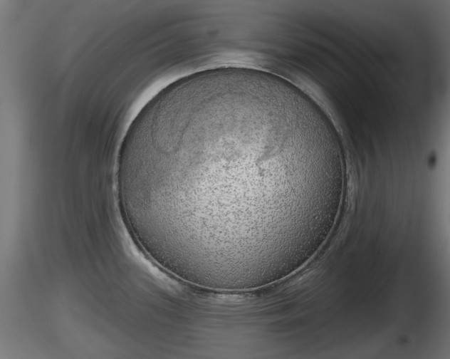 X0000116831339200912241219