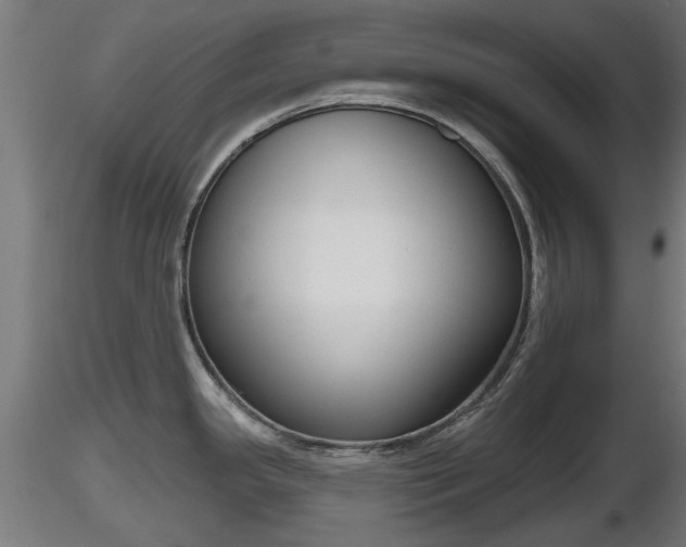 X0000116831341200912241219