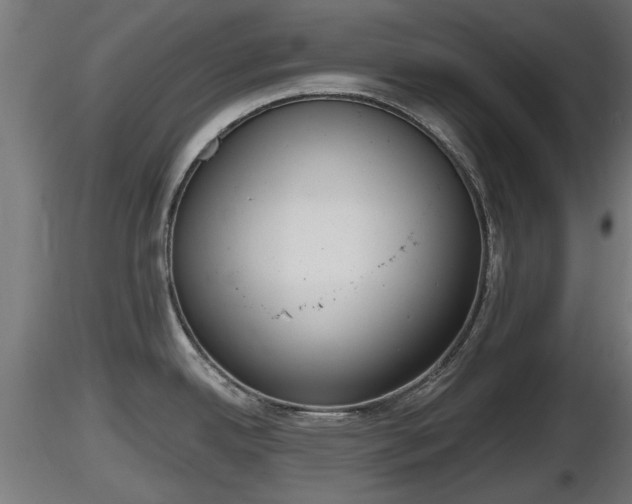 X0000116831342200912241219