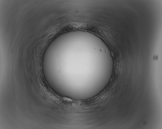 X0000116831345200912241218