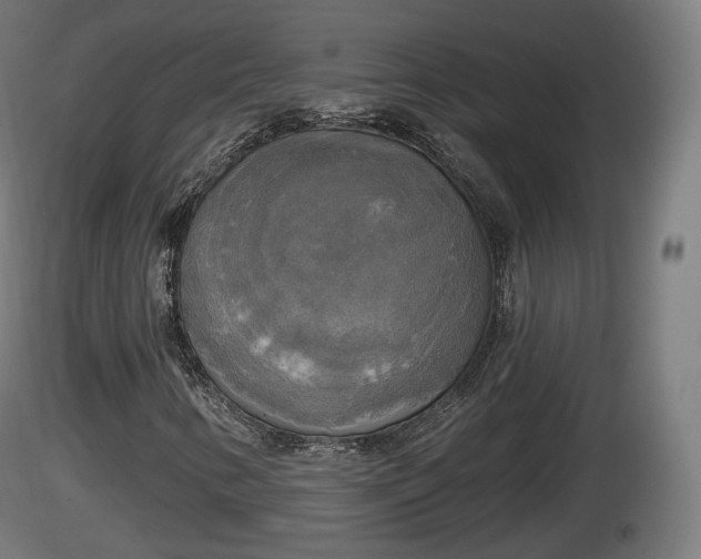 X0000116831346200912241218