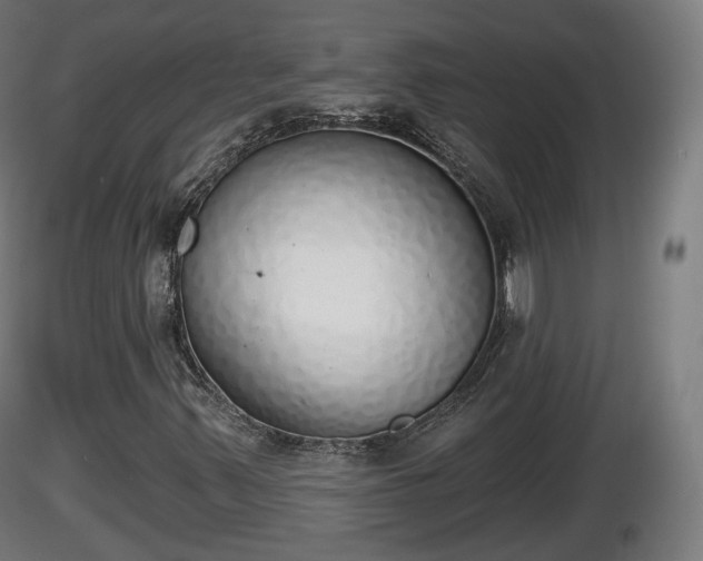 X0000116831347200912241218