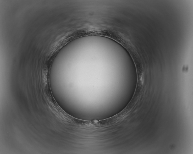 X0000116831348200912241218