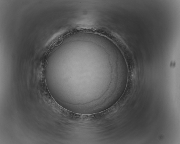 X0000116831350200912241218