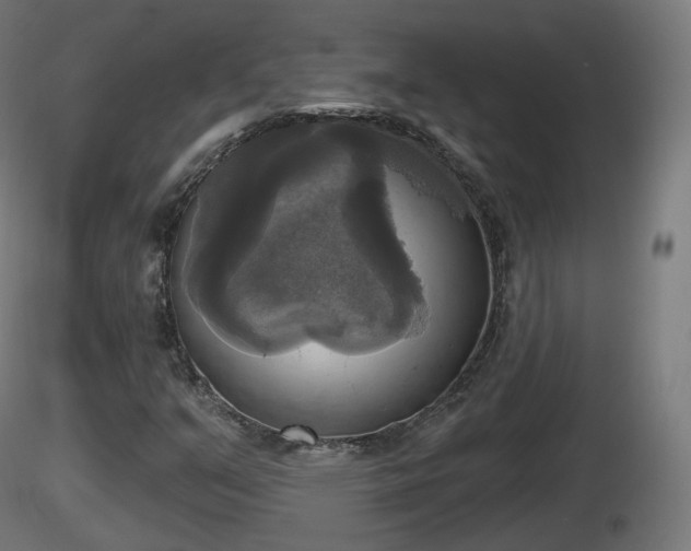 X0000116831351200912241218
