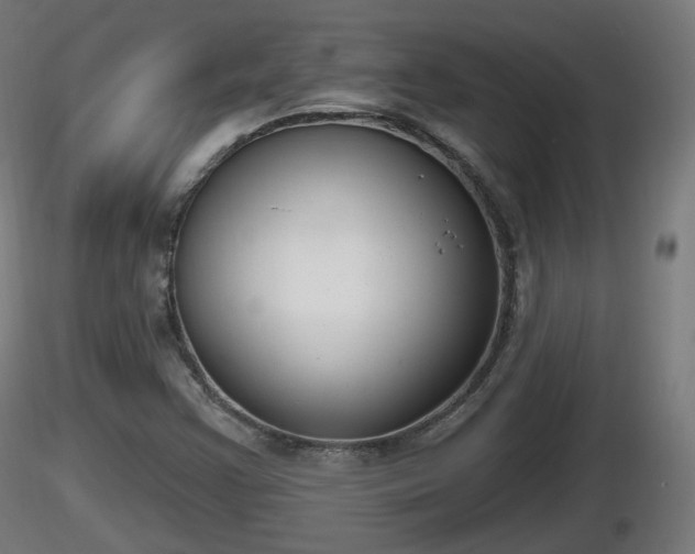 X0000116831355200912241218