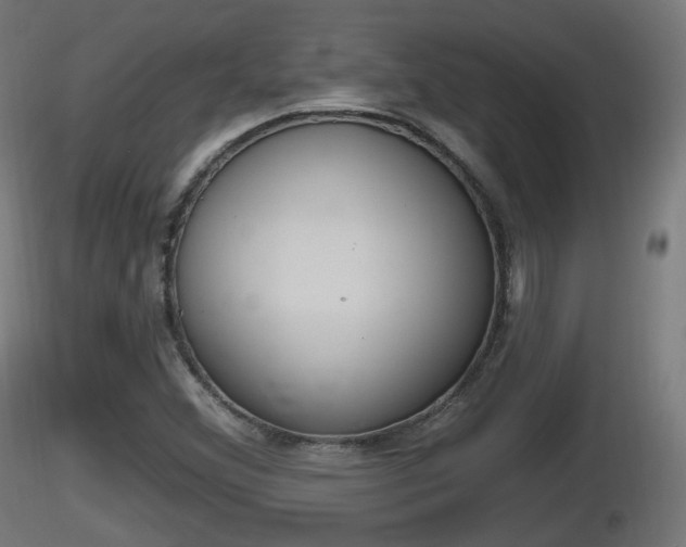 X0000116831356200912241218