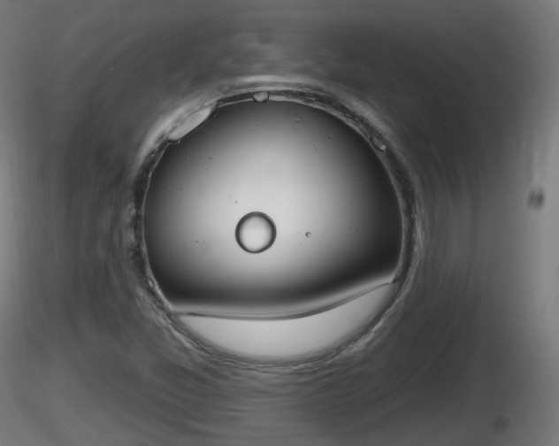 X0000116831357200912241218
