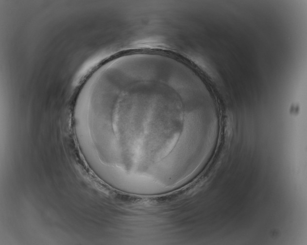 X0000116831358200912241218