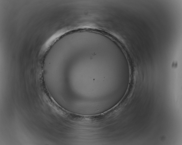 X0000116831359200912241218