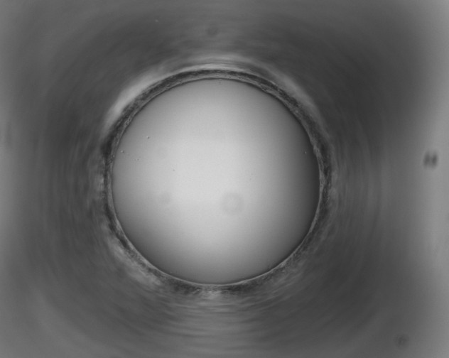 X0000116831360200912241218
